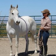 Alternative Horsemanship the Remote Horse Coach