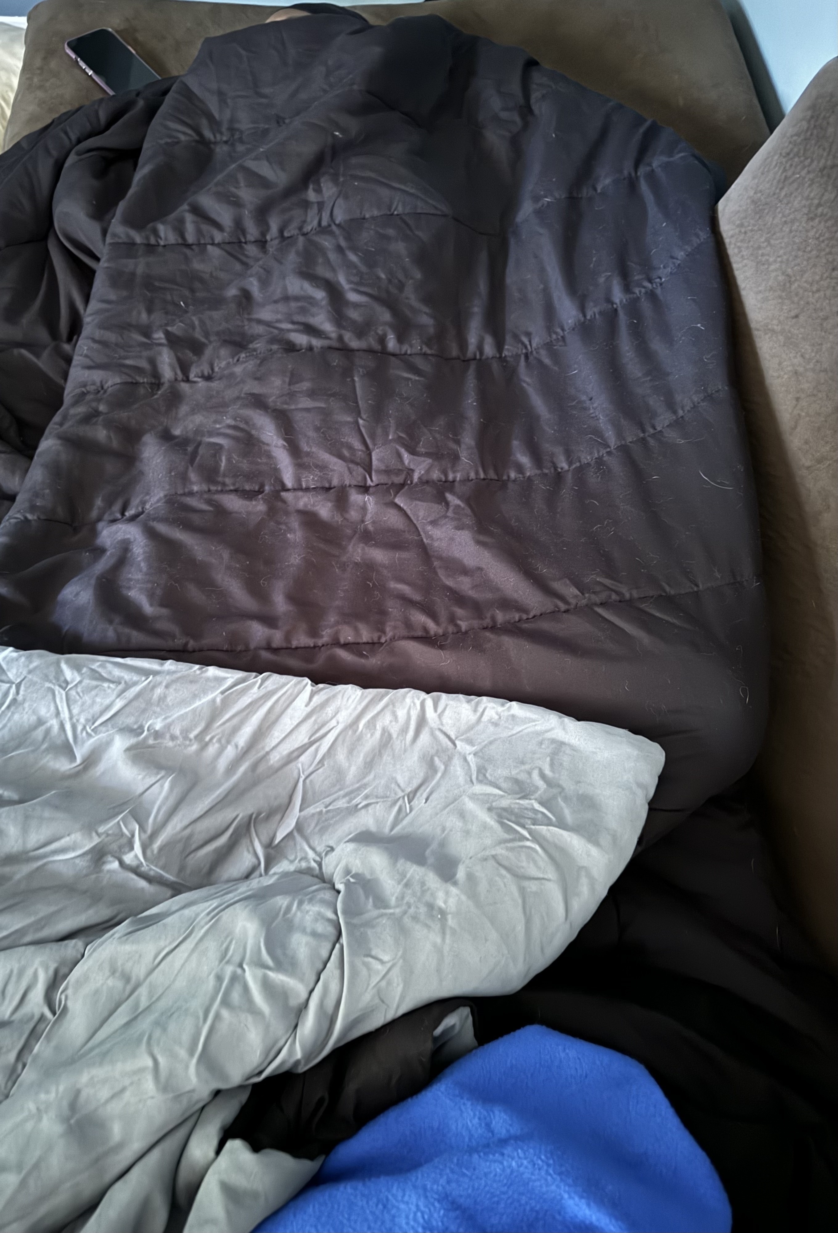 Shared post Kansas City got the most muskrat women I’ve ever seen 😂