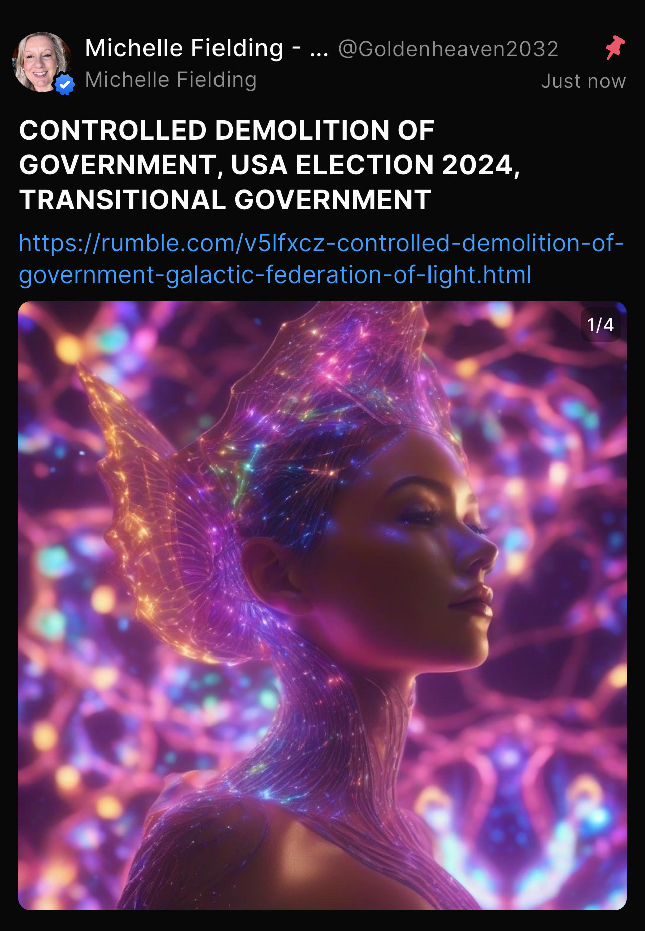 Shared post USA ELECTION FORECAST 2024